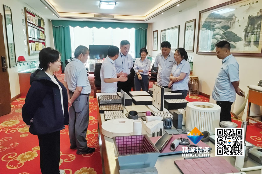 清华大学潘伟教授到访pp电子特瓷